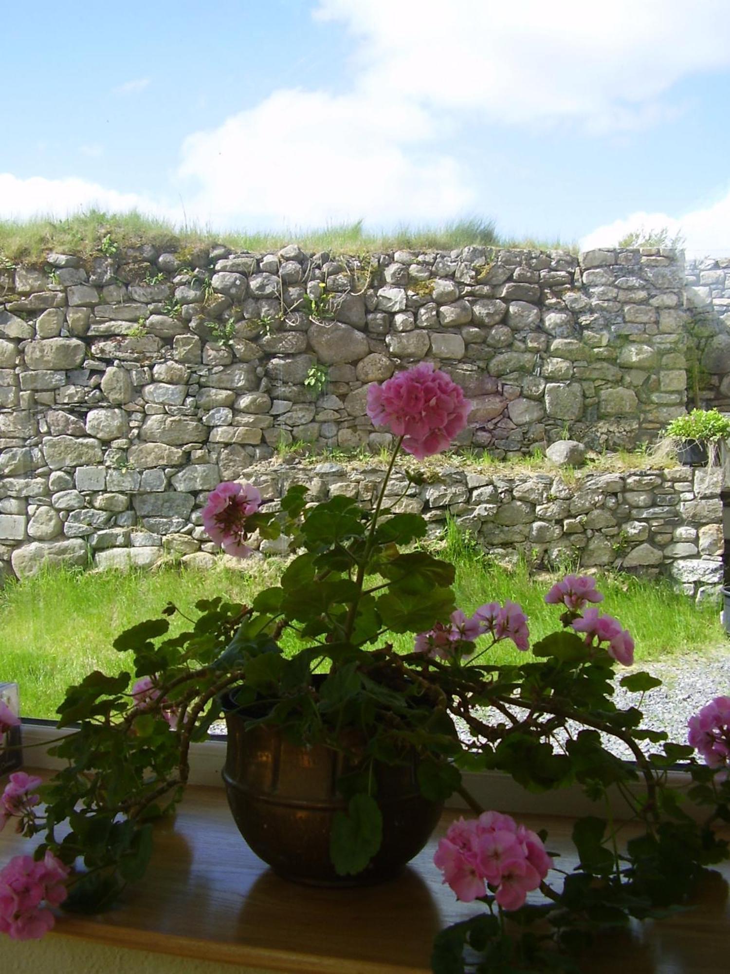 Glenboy Country Accommodation Oldcastle Экстерьер фото